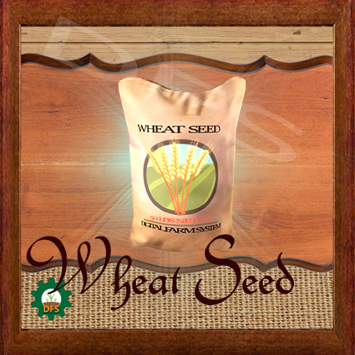 DFSTexture- Wheat Seed