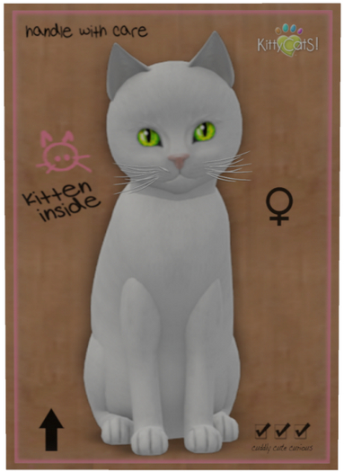 KittyCatS Box - Russian - White