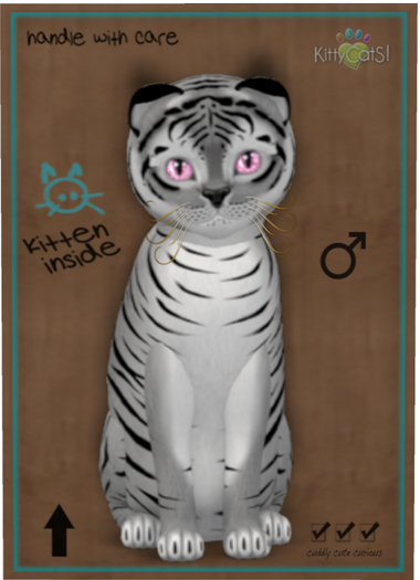 KittyCatS Box - Tiger! - Shadow