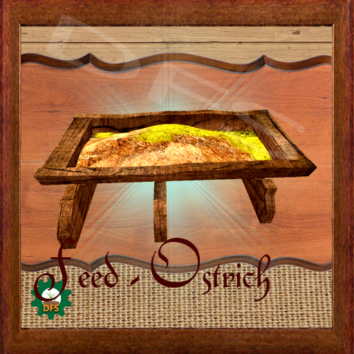 DFSTexture- Feed - Ostrich