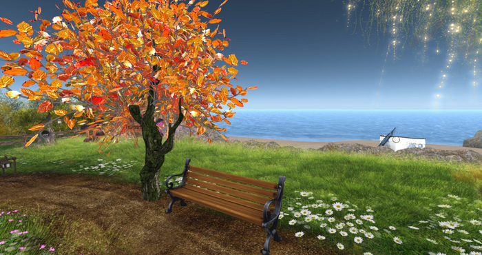 bench and tree
