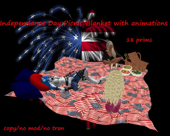 4th Of July Picnic Blanket with animation