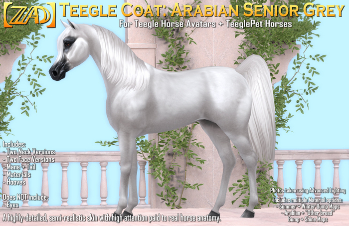 [ZAD] Teegle Coat: Arabian Senior Grey