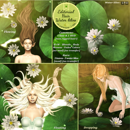Tableau Vivant \\ Water lily - Dropping - Fades