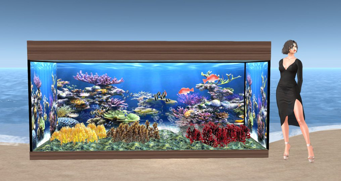 Big aquarium