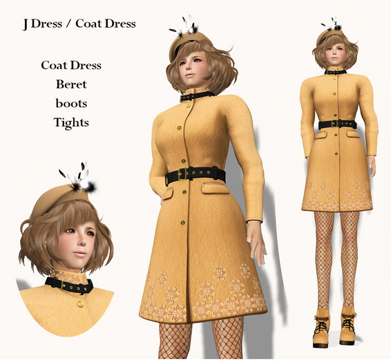 17 J Dress / Coat Dress Box