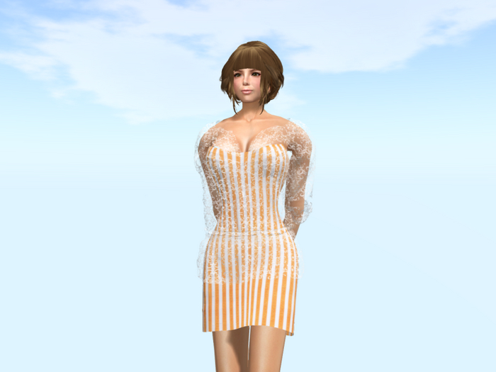 Translucent Blouse & Dress Box No.4*