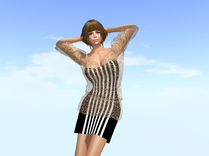 Translucent Blouse & Dress Box No.5**