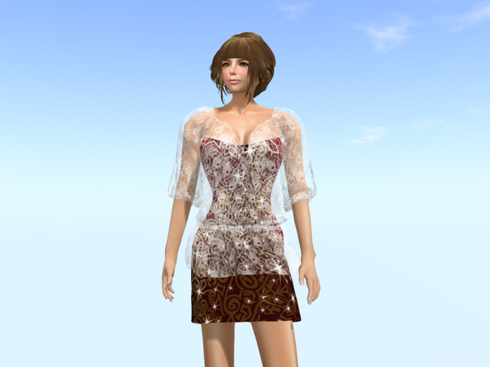 Translucent Blouse & Dress Box No.6*