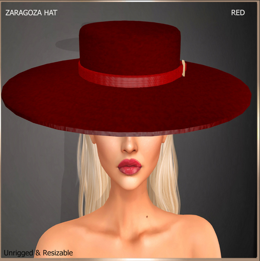 SAS - Zaragoza Red Hat 