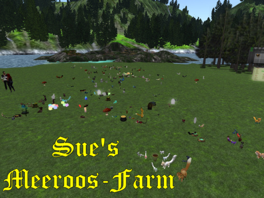 Zhijin Shaolin / M / 7.0 / Clumsy Meeroo Nest ID #8071530