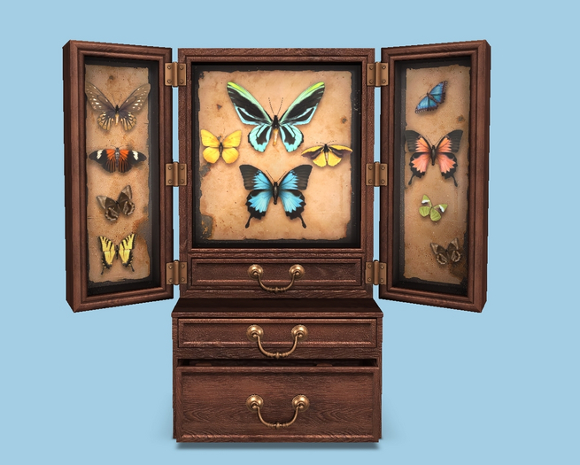.random.Matter. - Golden Age - Specimen Box [Brown]