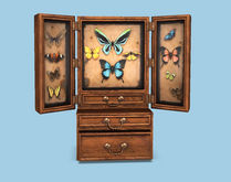 .random.Matter. - Golden Age - Specimen Box [Yellow]