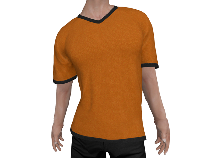 Orange T Shirt