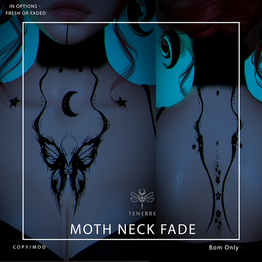 ..TENEBRE..  Moth Neck Fade