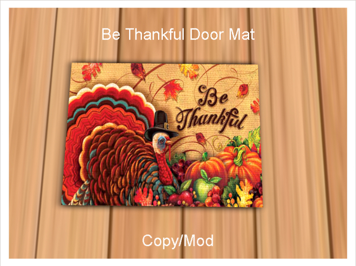 *CC* Be Thankful Door Mat 