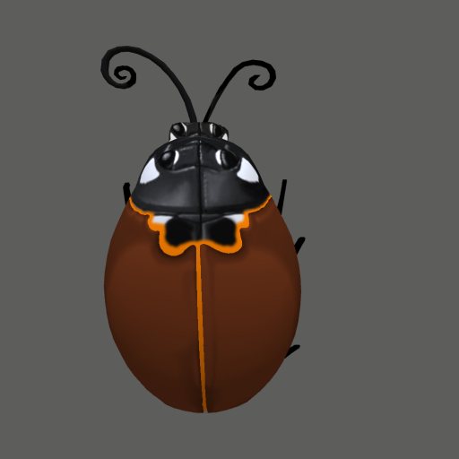 {Papillon} Ma/Sma/Nor/Aye/Ladybug/ColorB Cocoon