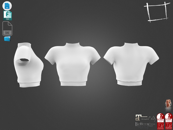Dae Obj FBX For Elastic Bottom Short Sleeves High Neck Female Top Maitreya Slink Belleza Isis Freya Legacy Ebody Reborn