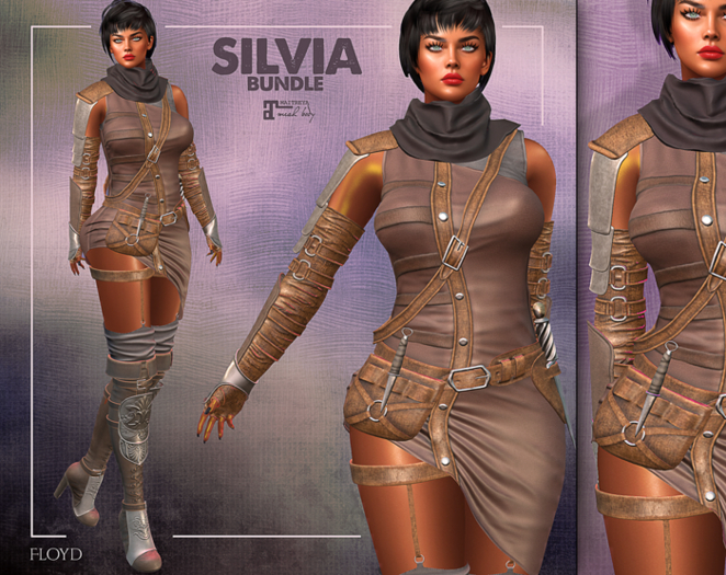 .:FLOYD:.Silvia Bundle