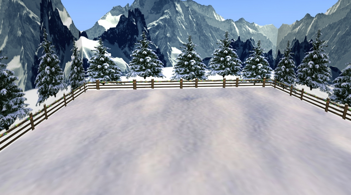 SKYBOX BASE COUNTRY 