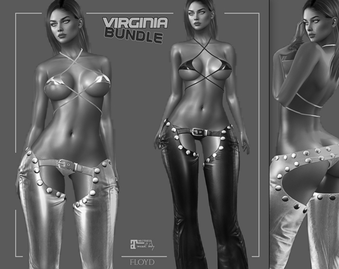 .:FLOYD:.Virginia Demo