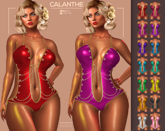 .:FLOYD:.Calanthe Fatpack