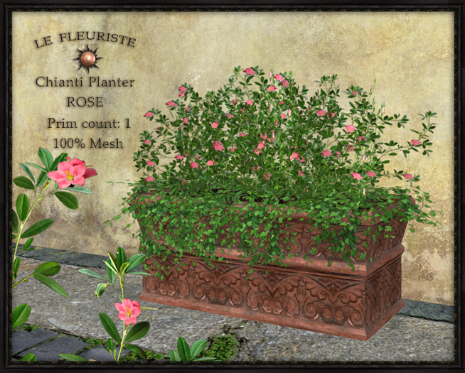 F*CHIANTI planter ROSE