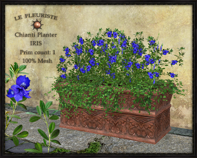 F*CHIANTI planter IRIS