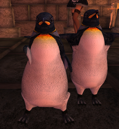 Full Perm rigged Penguin animal mesh avatar