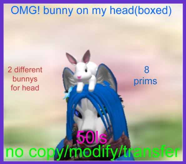 OMG bunny on my head(boxed)