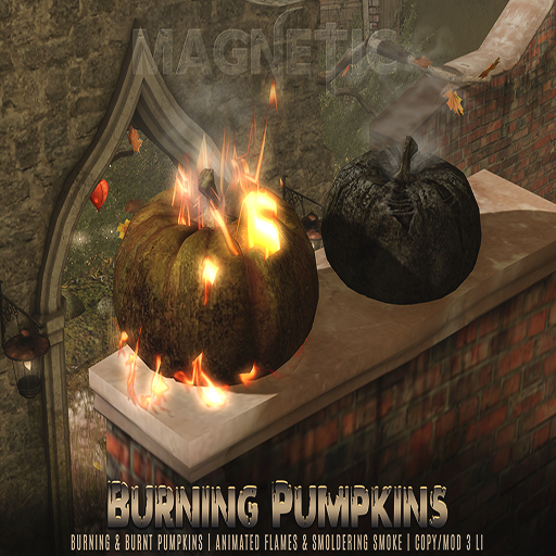 Magnetic - Burning Pumpkins
