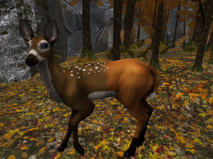 NOOLDEMOD Fox_Deer (BOXED)