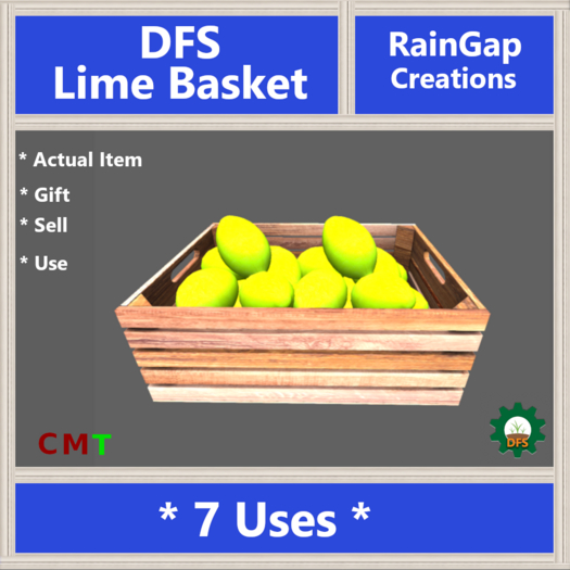 DFS Lime Basket ACTUAL ITEM