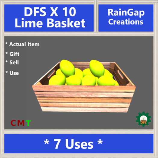 DFS LIME BASKET X 10