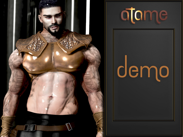 AtaMe - Pix Armor Male DEMO