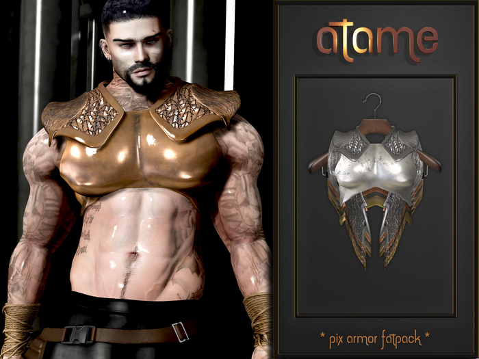 AtaMe - Pix Armor Kario Flex