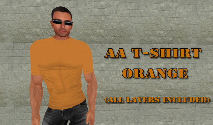 AA T-SHIRT ORANGE