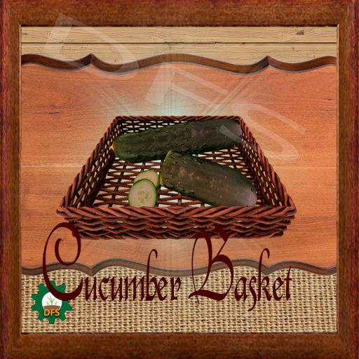 DFSTexture- Cucumber Basket