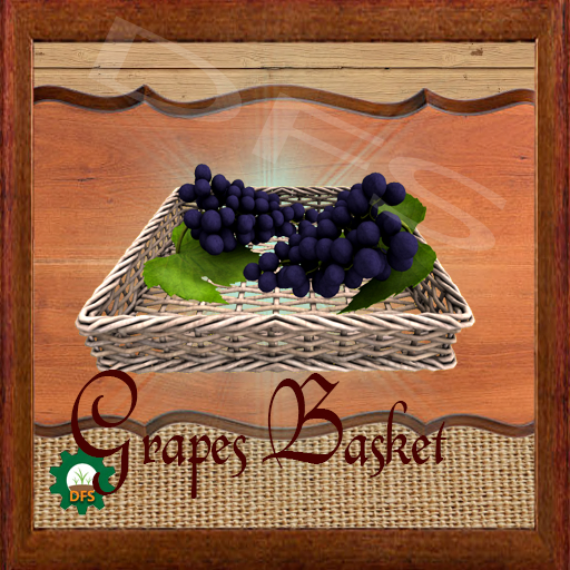 DFSTexture- Grapes Basket