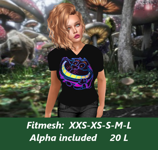 Cheshire-Ladies V-neck T-shirt