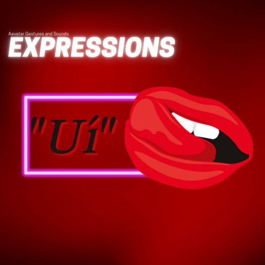 Ui