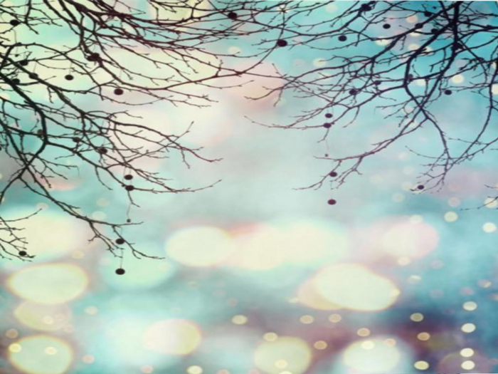 Winter Fantasy Texture