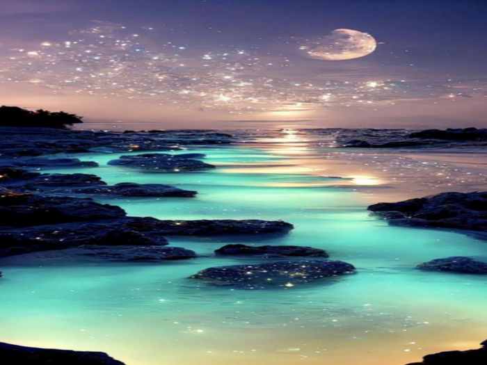 Water Wonders Texture