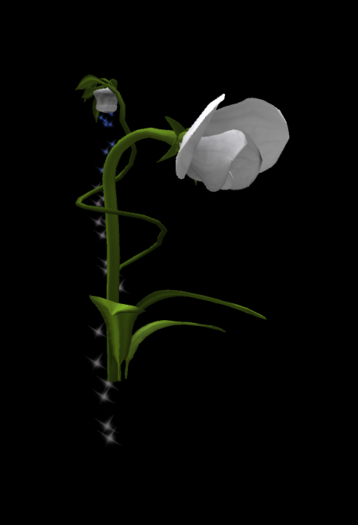 {Papillon} A Very Special Blossom