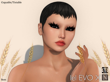 [Nerium] Miss Hollywood