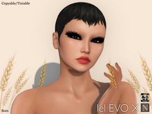 [Nerium] Miss Vixen