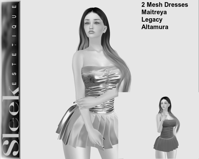 2 MESH Dresses  DEMO