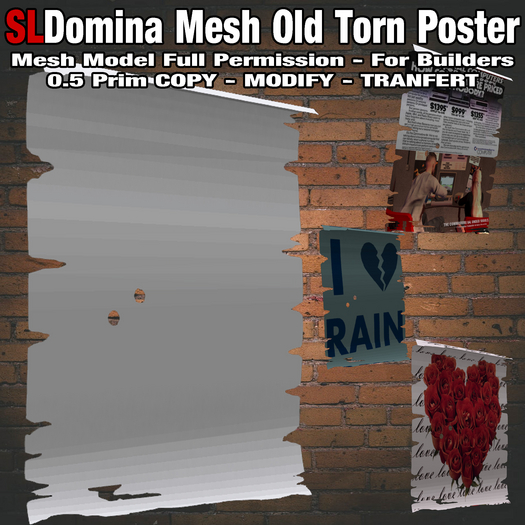 [FP] SLDomina Old Torn Poster Full Permission