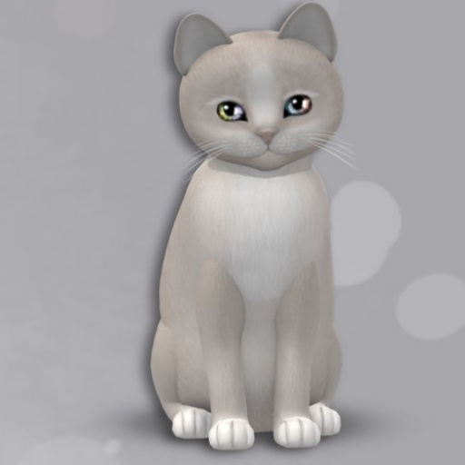 KittyCatS Box - New Born Kitten GIRL - NORMAL SIZE