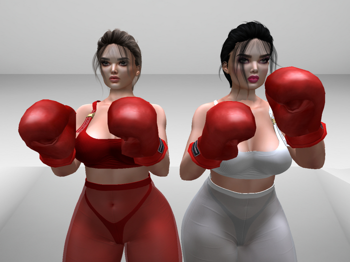 double martial art01